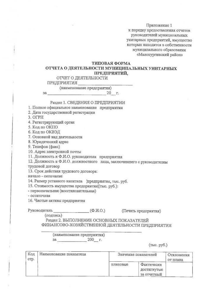 "О порядке предоставления отчетов руководителей муниципальных унитарных предприятий"