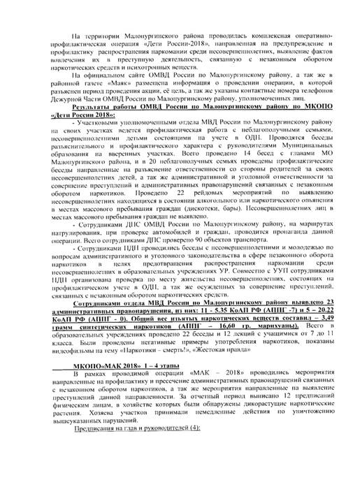 Об утверждении отчета о реализации муниципальной программы «Комплексные меры противодействия злоупотреблению наркотиками и их незаконному обороту в Малопургинском районе на 2016-2020 годы» за 2018 год